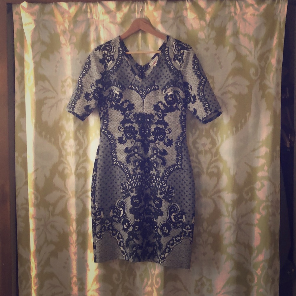 Size 4 Baraschi dress